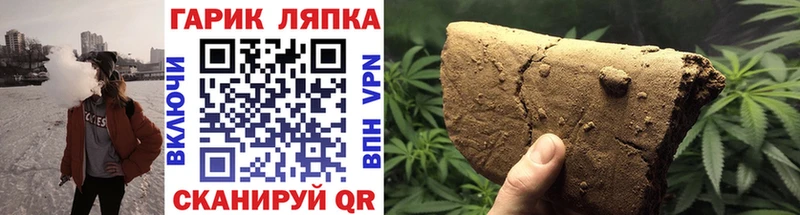 дарнет шоп  Елизово  ГАШ Premium 