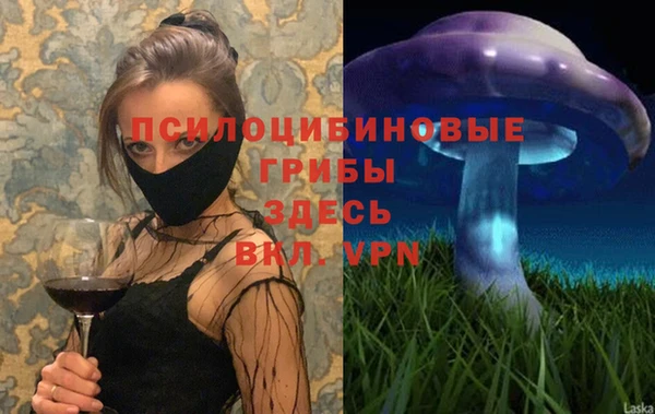 марки lsd Вяземский