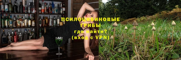 apvp Вязники