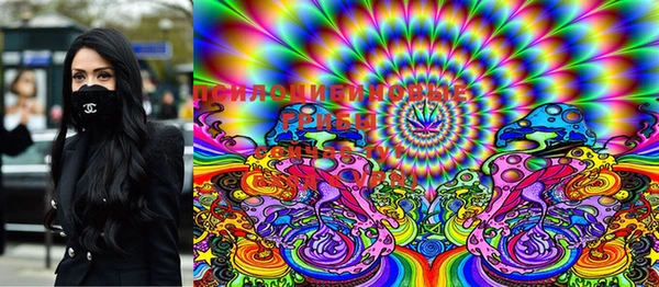 марки lsd Вяземский