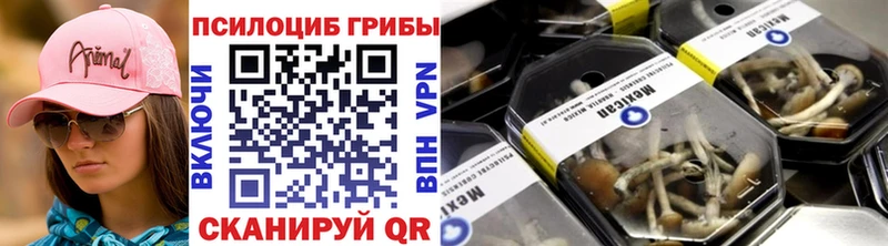 блэк спрут как войти  Елизово  Псилоцибиновые грибы GOLDEN TEACHER 