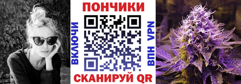 Бошки марихуана Bruce Banner  магазин    Елизово 